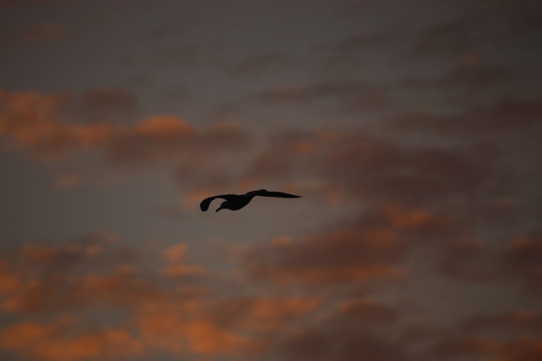 Gotcha! Data, Information and Channel crossing.