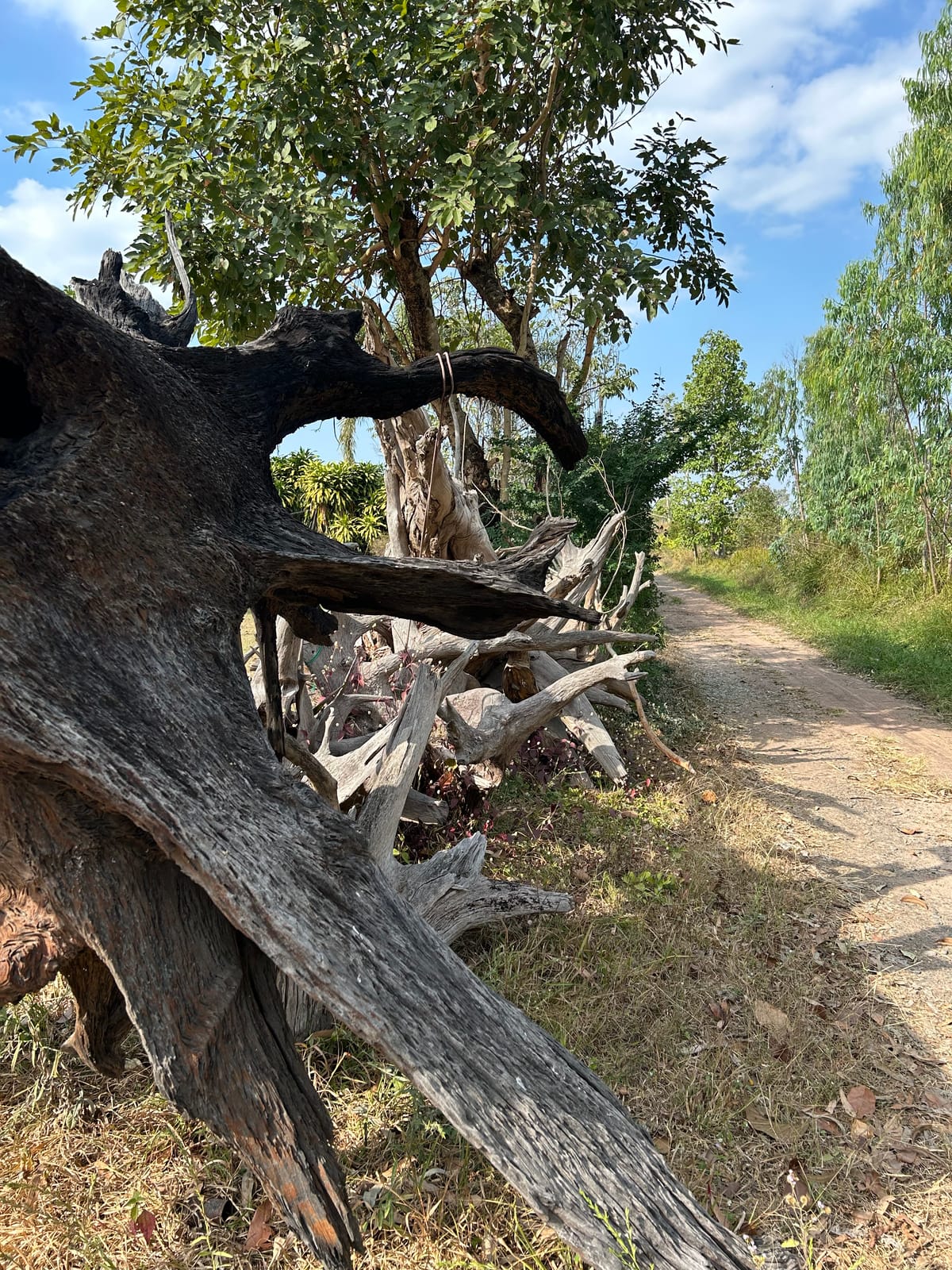 A Return - to a place I used to call home.