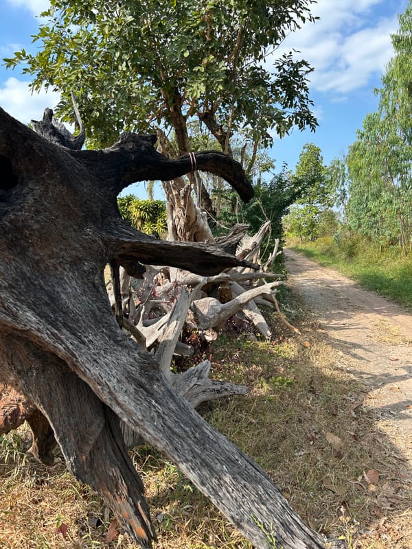 A Return - to a place I used to call home.